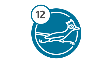 Bus Route 12 - RoadRunner Bus Route 12 - RoadRunner
