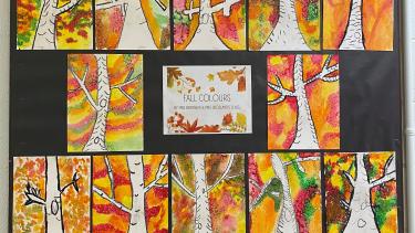 Fall colours and trees