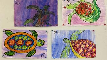 water colour turtle pictures