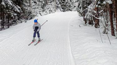 A child skis down an incline on a cross-country ski trail