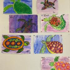 water colour turtle pictures