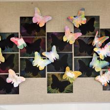 butterfly art